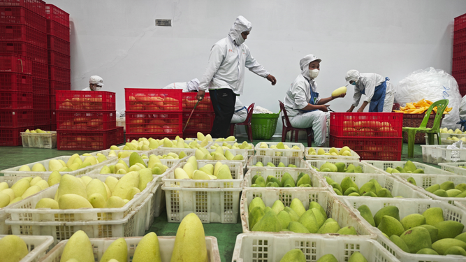 Linh hoạt, bình tĩnh ứng phó - Ảnh 1.