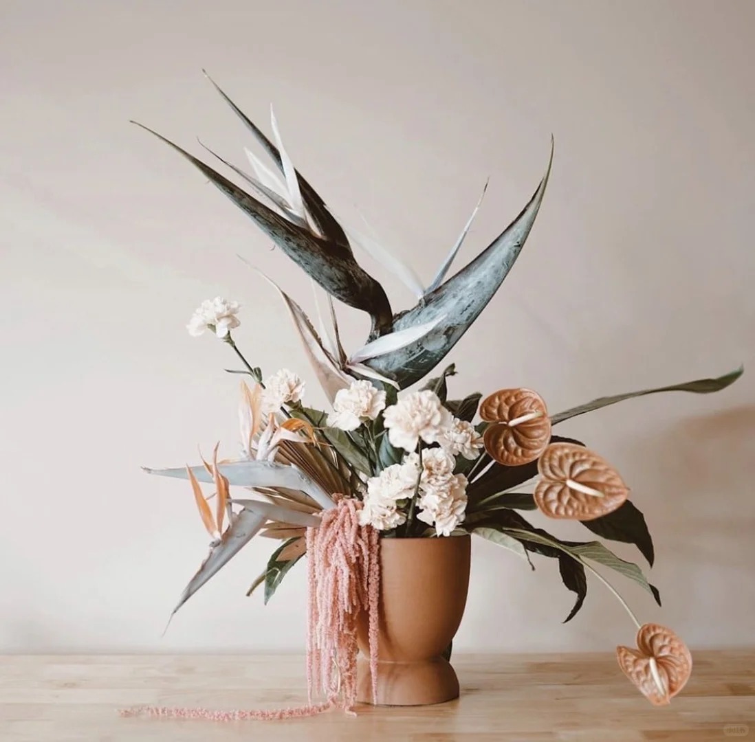 Thấy cành Bạch hạc 