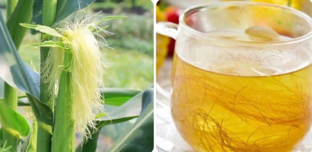 Theo y học, râu ngô chứa các hợp chất flavonoid, saponin, vitamin K và kali, giúp kích thích bài tiết nước tiểu, hỗ trợ đào thải các chất cặn bã hòa tan ra khỏi cơ thể.