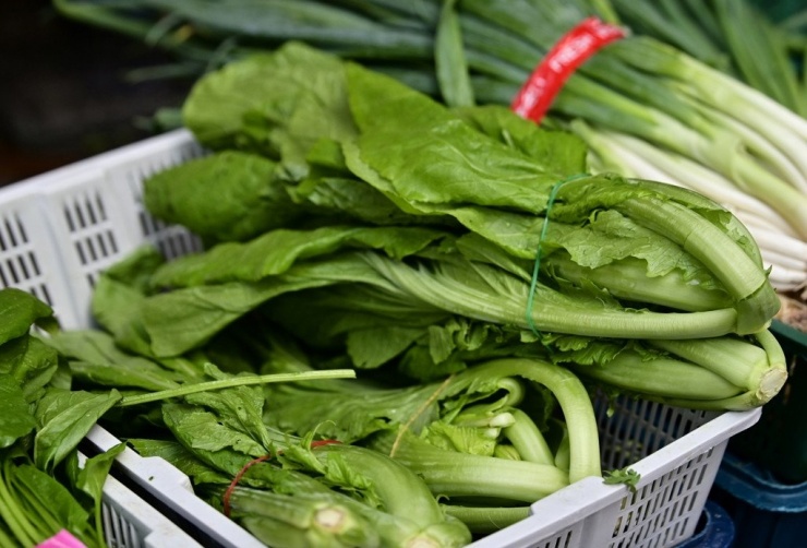 Rau cải bẹ dân dã nhưng có nhiều tác dụng tích cực. Ảnh: China Times