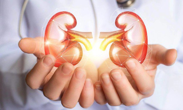 Loại rau mát bổ nhưng tăng gánh nặng cho thận, người bệnh suy thận nếu ăn cần phải đúng cách 1 Ảnh minh họa.