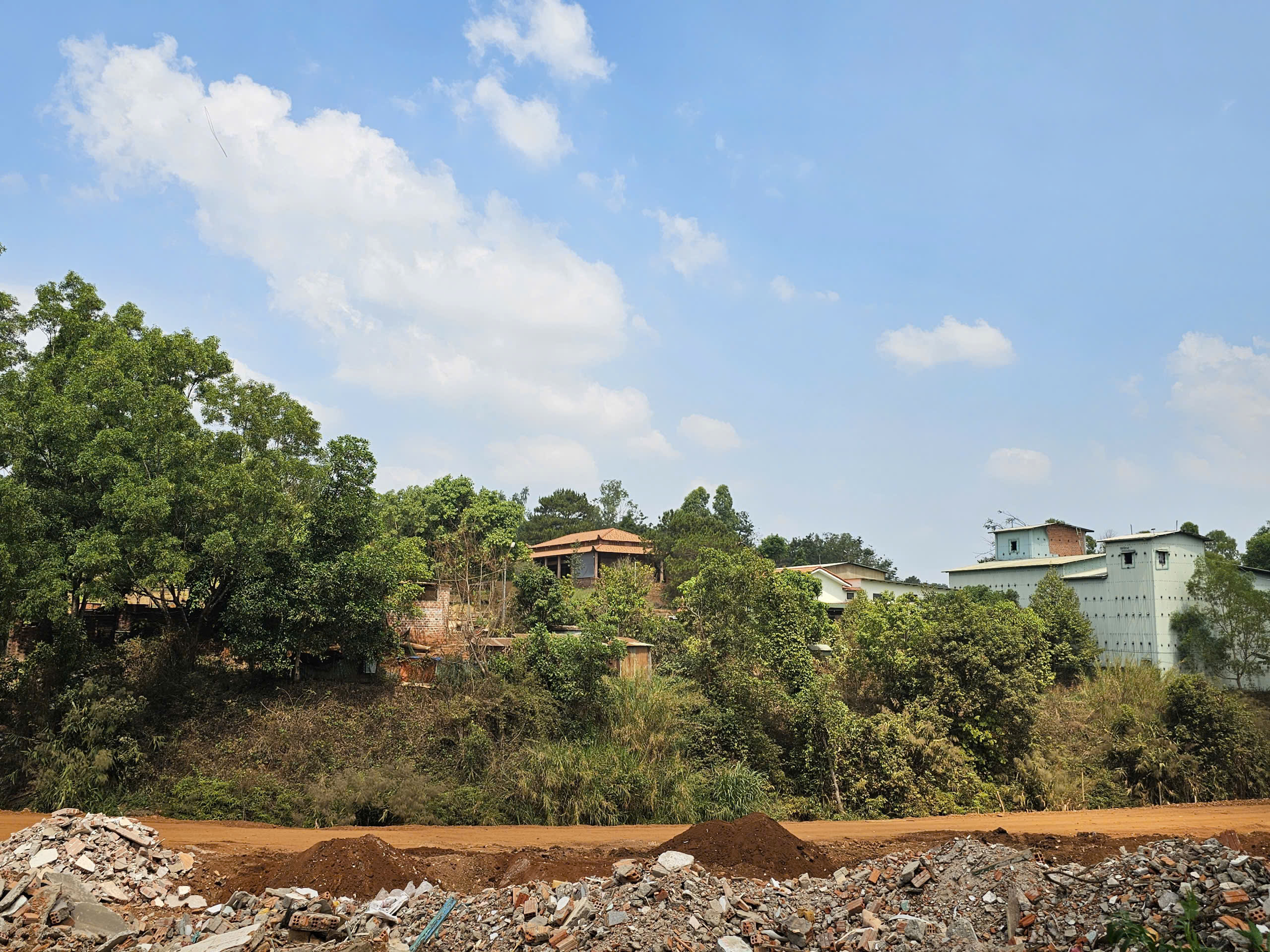 Loay hoay thu hồi hàng chục ngàn mét vuông đất rừng - Ảnh 1.