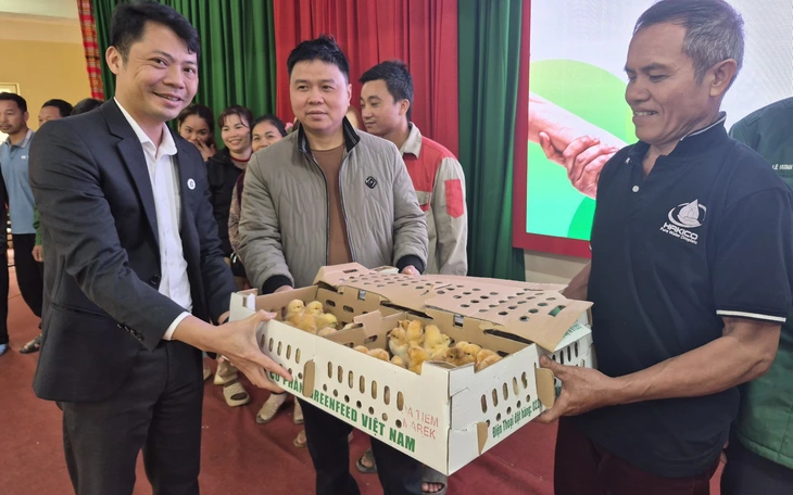 Mất đàn gà sau lũ, người dân Bình Định vui mừng nhận gà giống để tái đàn - Ảnh 12.