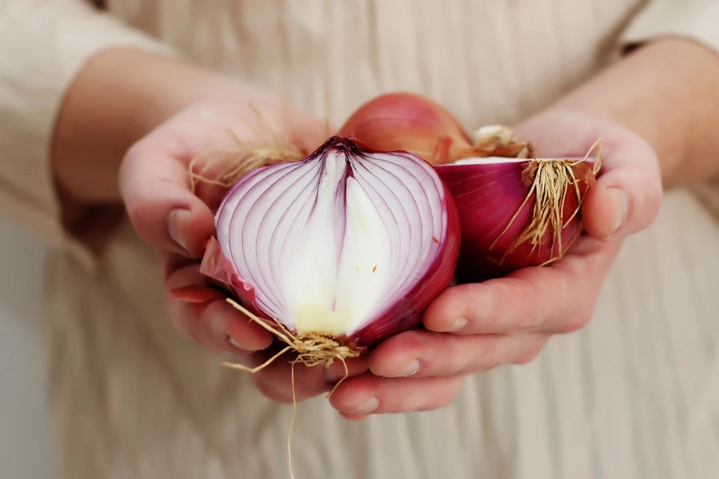 Mẹo thải độc gan bằng củ hành tây - 1