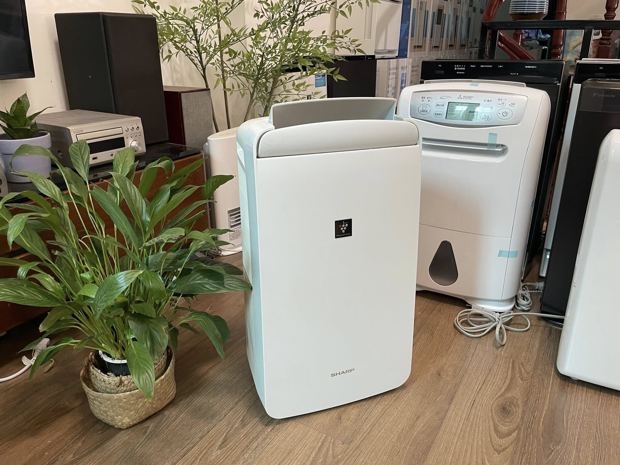 Món đồ hot nhất lúc này, đại lý nhập gấp 10 lần vẫn không kịp bán- Ảnh 1.