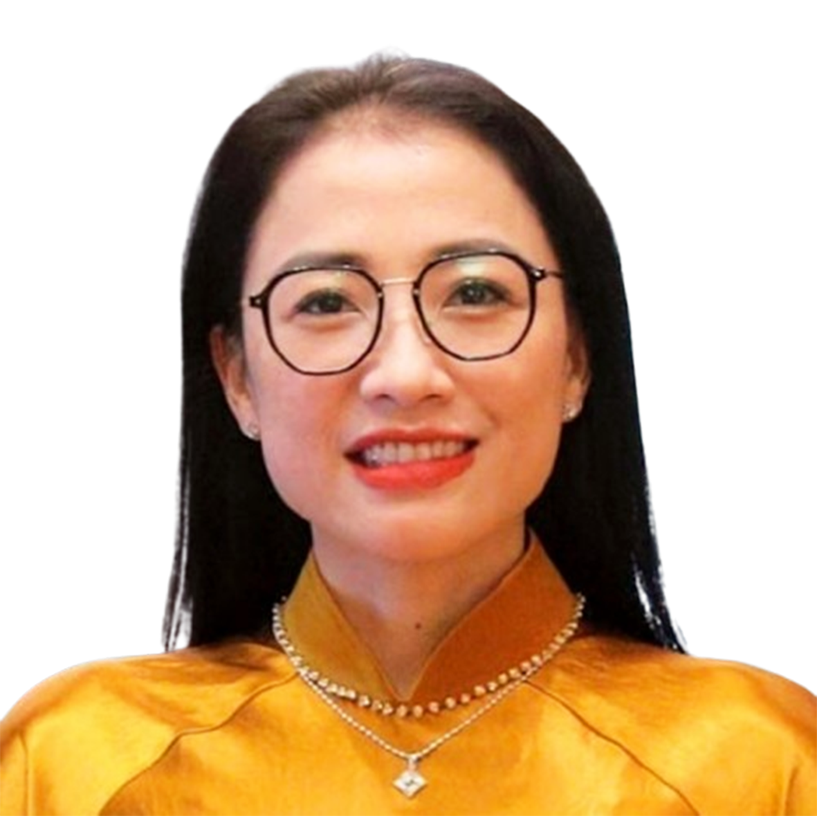 đại biểu - Ảnh 2.