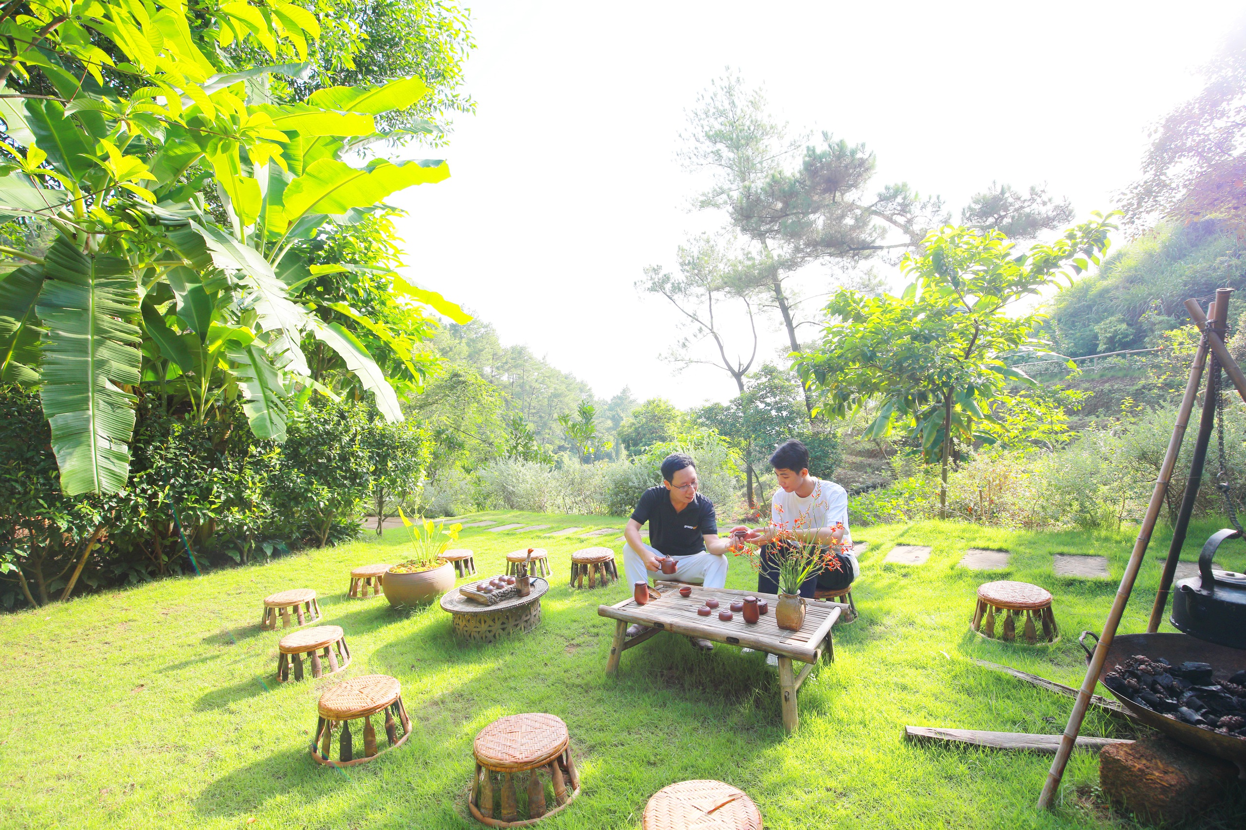 Một ấm trà, trọn kiếp người - Ảnh 1.