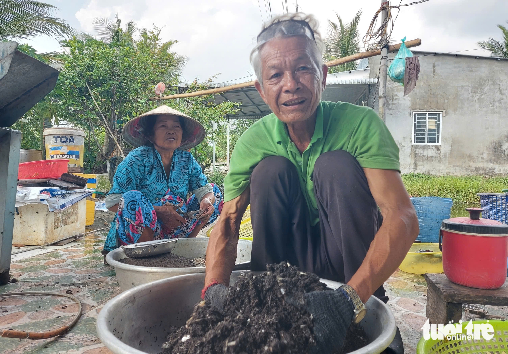 tôm càng xanh - Ảnh 1.
