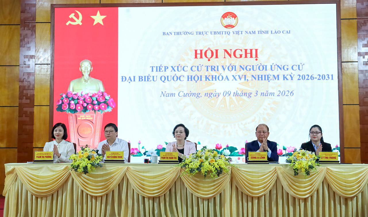 Phạm Thị Thanh Trà - Ảnh 1.