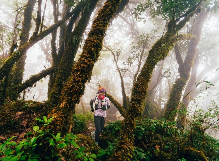 Ở độ cao gần 3.000m so với mực nước biển, hệ sinh thái rừng nguyên sinh của xã Ngọc Chiến (Sơn La) gần như còn nguyên vẹn. Khí hậu ẩm lạnh quanh năm, mây mù bao phủ là điều kiện lý tưởng để rêu phát triển dày đặc.