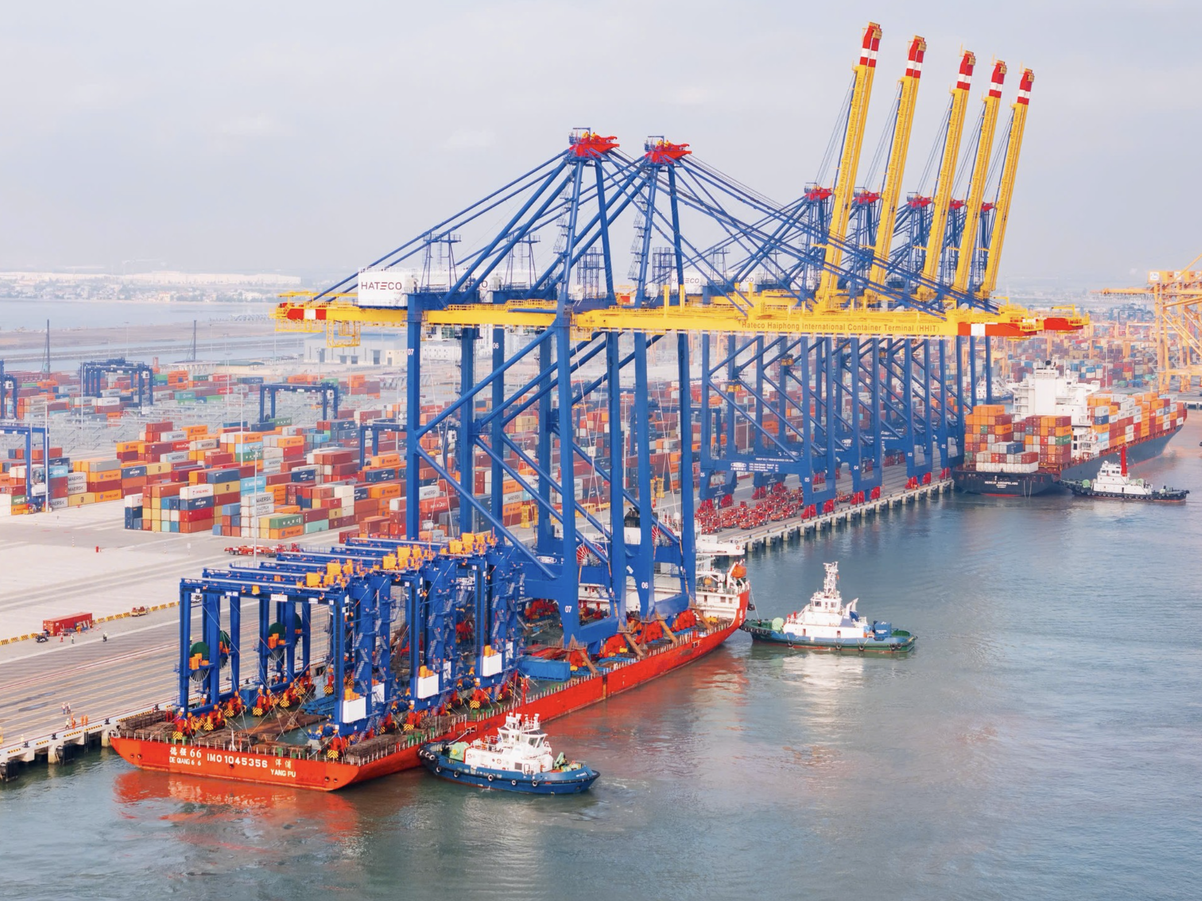 Nắm giữ 49% cổ phần cảng nước sâu tại Hải Phòng, 'ông lớn' Hà Lan tăng tốc đầu tư tại Việt Nam 1 hải phòng - Ảnh 1.