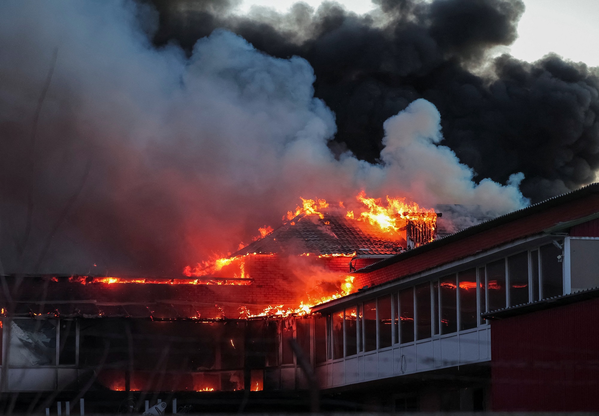 - Ảnh 1. - Ảnh 1.