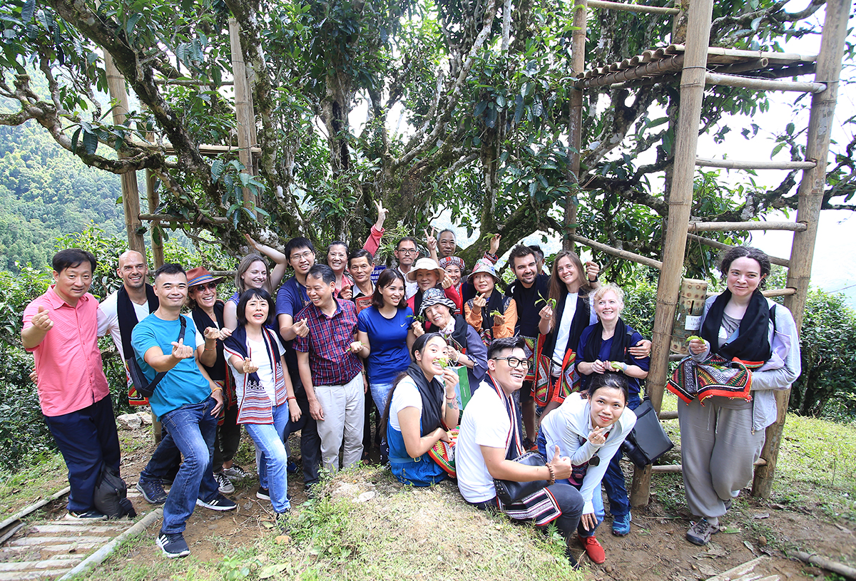 Nỗi niềm trà di sản: Ngậm ngùi số phận 'cụ trà' 001- Ảnh 1.