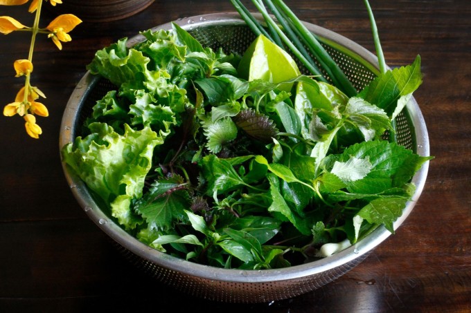 Ngâm rau trong nước muối sạch hơn không? - 1