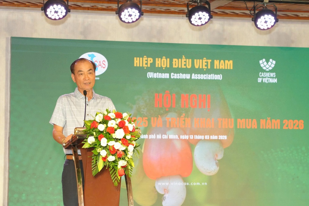 Ngành điều 2026: Khát nguyên liệu và rủi ro thanh toán bủa vây - 1