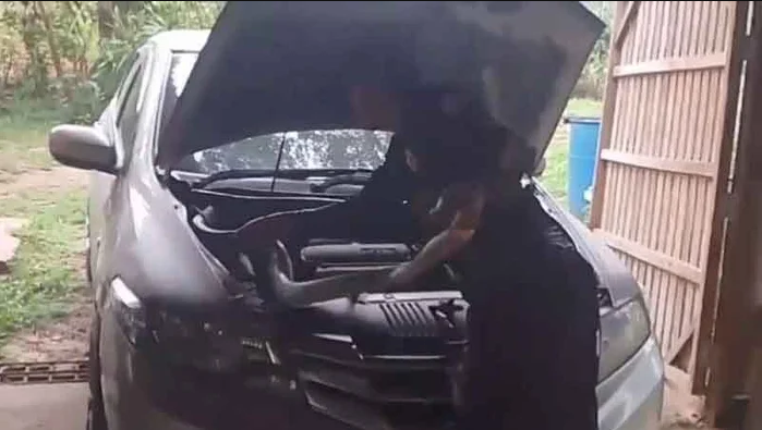 Nghe tiếng động bất thường dưới nắp xe, người đàn ông mở ra rồi kinh hoàng phát hiện 'bóng đen' dài 3 mét- Ảnh 1. Nghe tiếng động bất thường dưới nắp xe, người đàn ông mở ra rồi kinh hoàng phát hiện 'bóng đen' dài 3 mét- Ảnh 1.