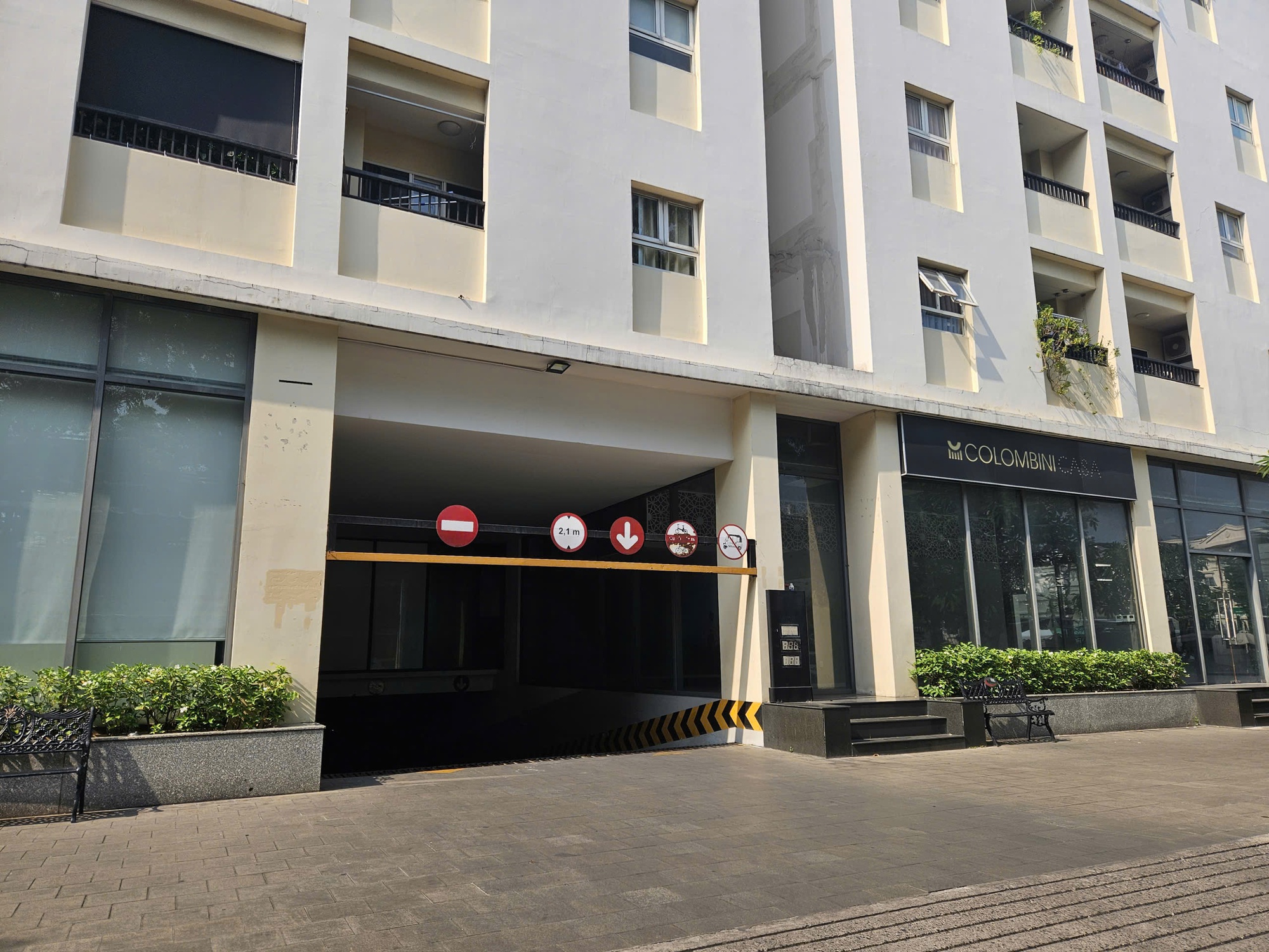 - Ảnh 1. - Ảnh 1.