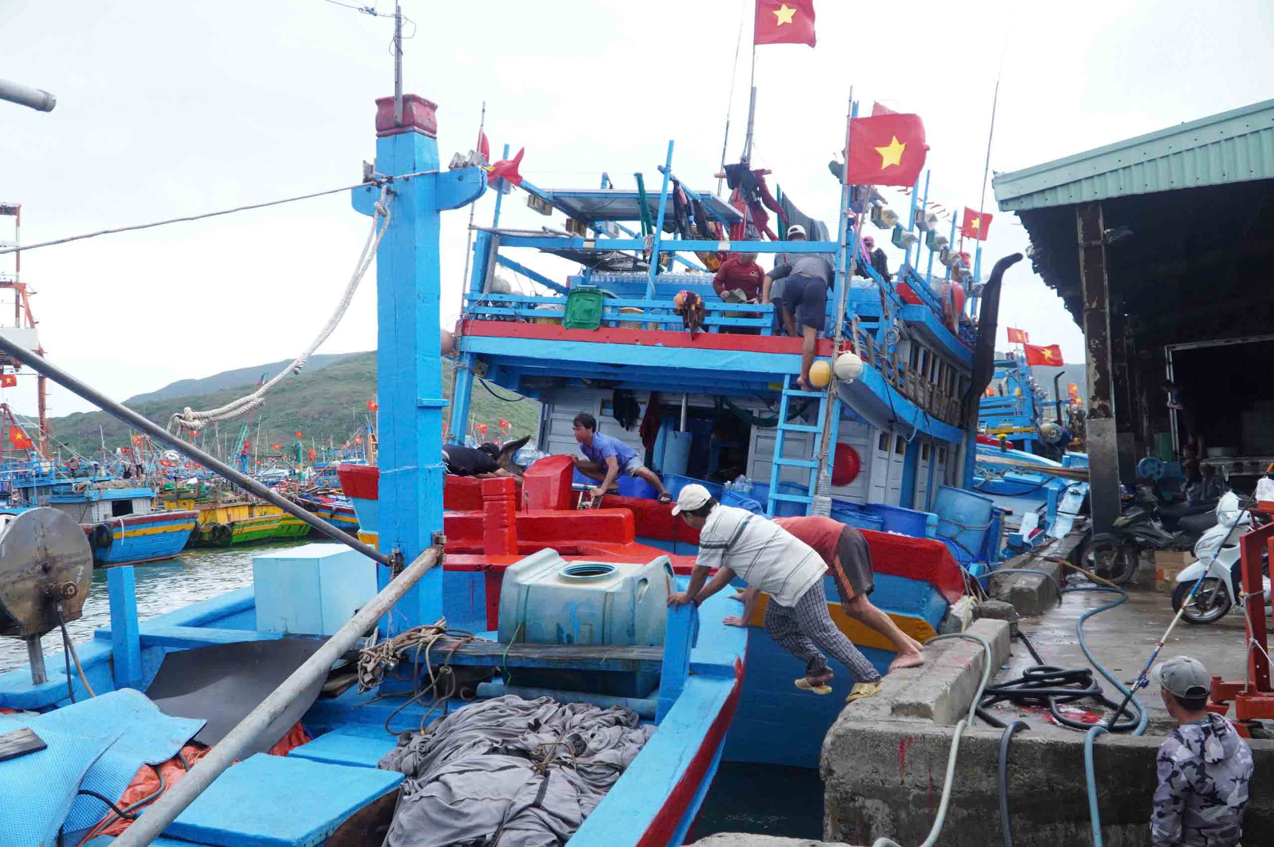 Ngư dân nỗ lực vượt khó - Ảnh 1.