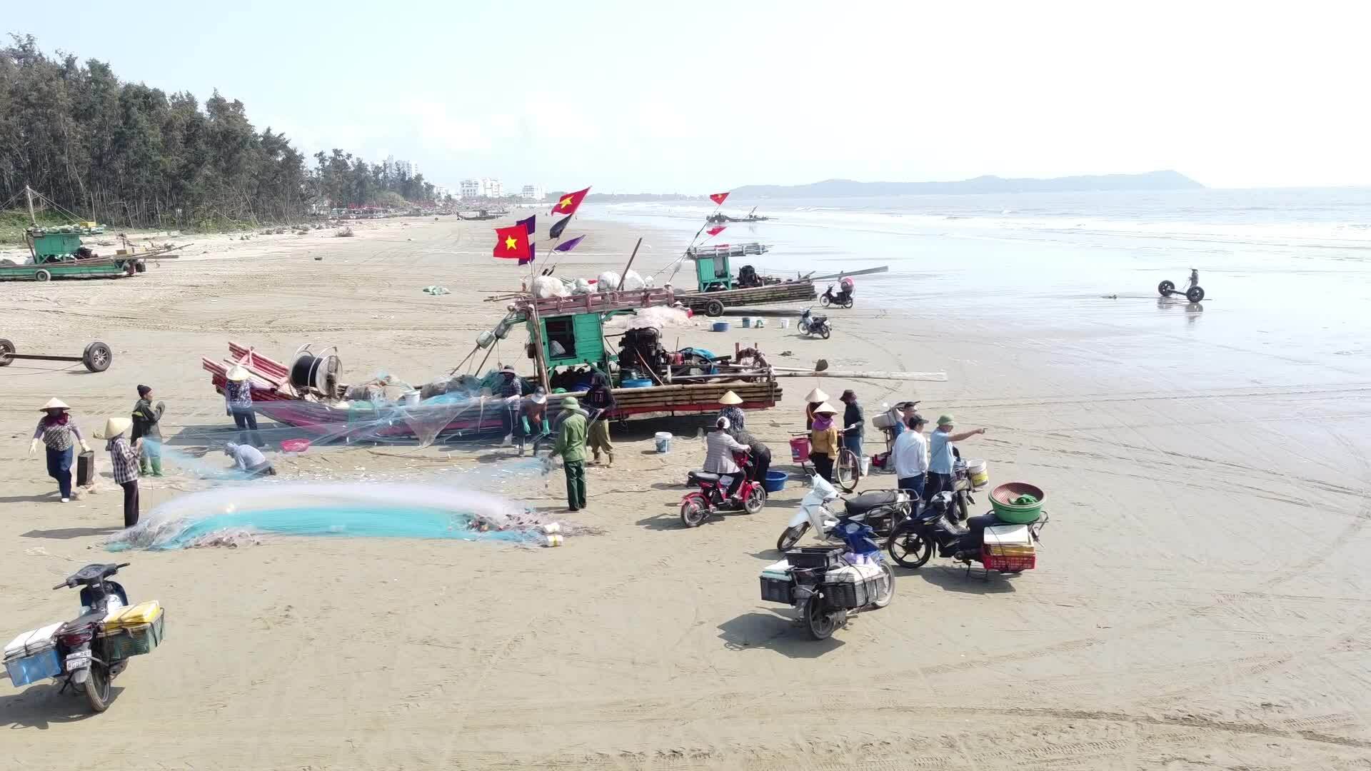 Mùa săn cá trích kiếm tiền triệu mỗi ngày