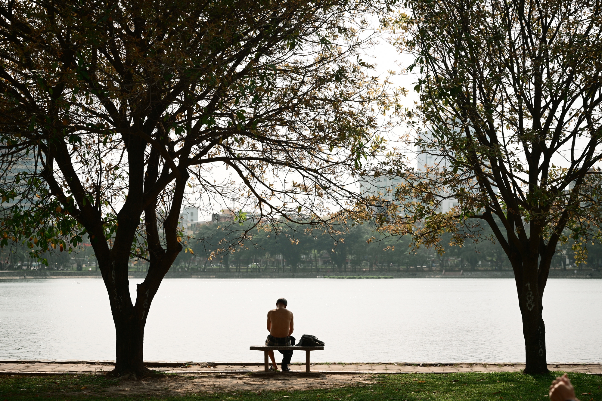 Người Hà Nội đang đổ xô ra công viên Thống Nhất săn lùng một khung cảnh vô thực- Ảnh 1. Người Hà Nội đang đổ xô ra công viên Thống Nhất săn lùng một khung cảnh vô thực- Ảnh 1.