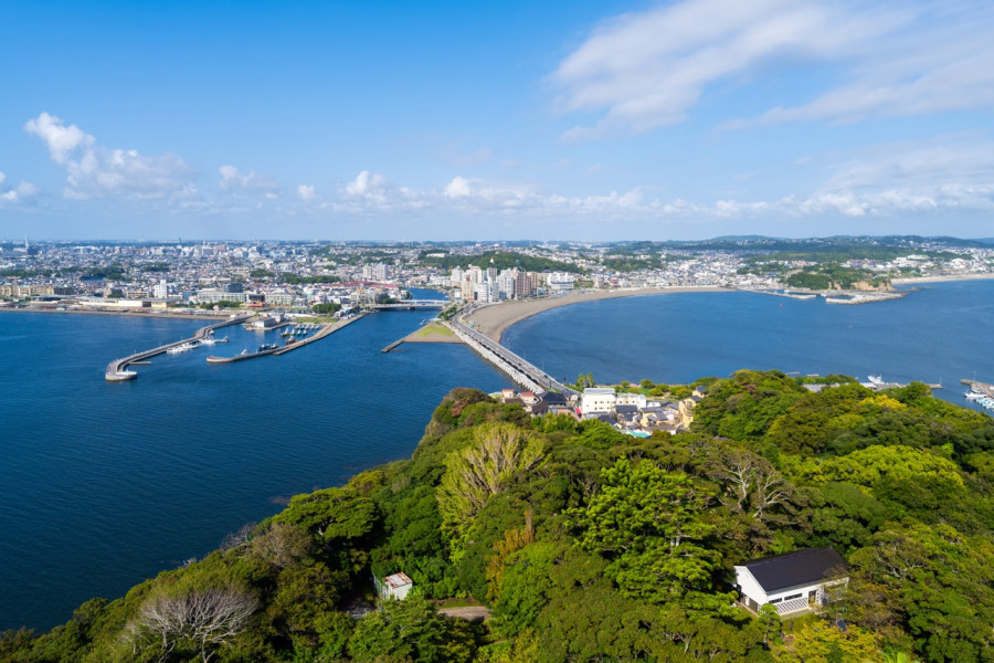 Người Nhật sở hữu 29.000km bờ biển nhưng vẫn nườm nượp sang Việt Nam tìm thứ quê nhà hiếm có- Ảnh 1.