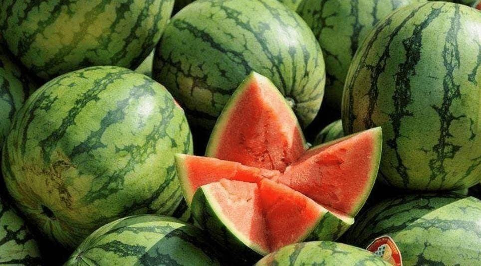 Vỗ rát cả tay không mua nổi quả dưa hấu “ra hồn”: Nhân viên siêu thị tiết lộ đúng 1 chi tiết mấu chốt- Ảnh 1.