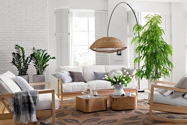 7 loại cây đặt đúng chỗ là 