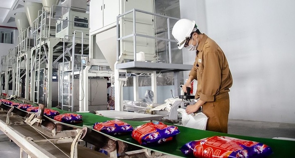 Những đại dự án nghìn tỷ đồng còn dang dở của Hóa chất Đức Giang - 1