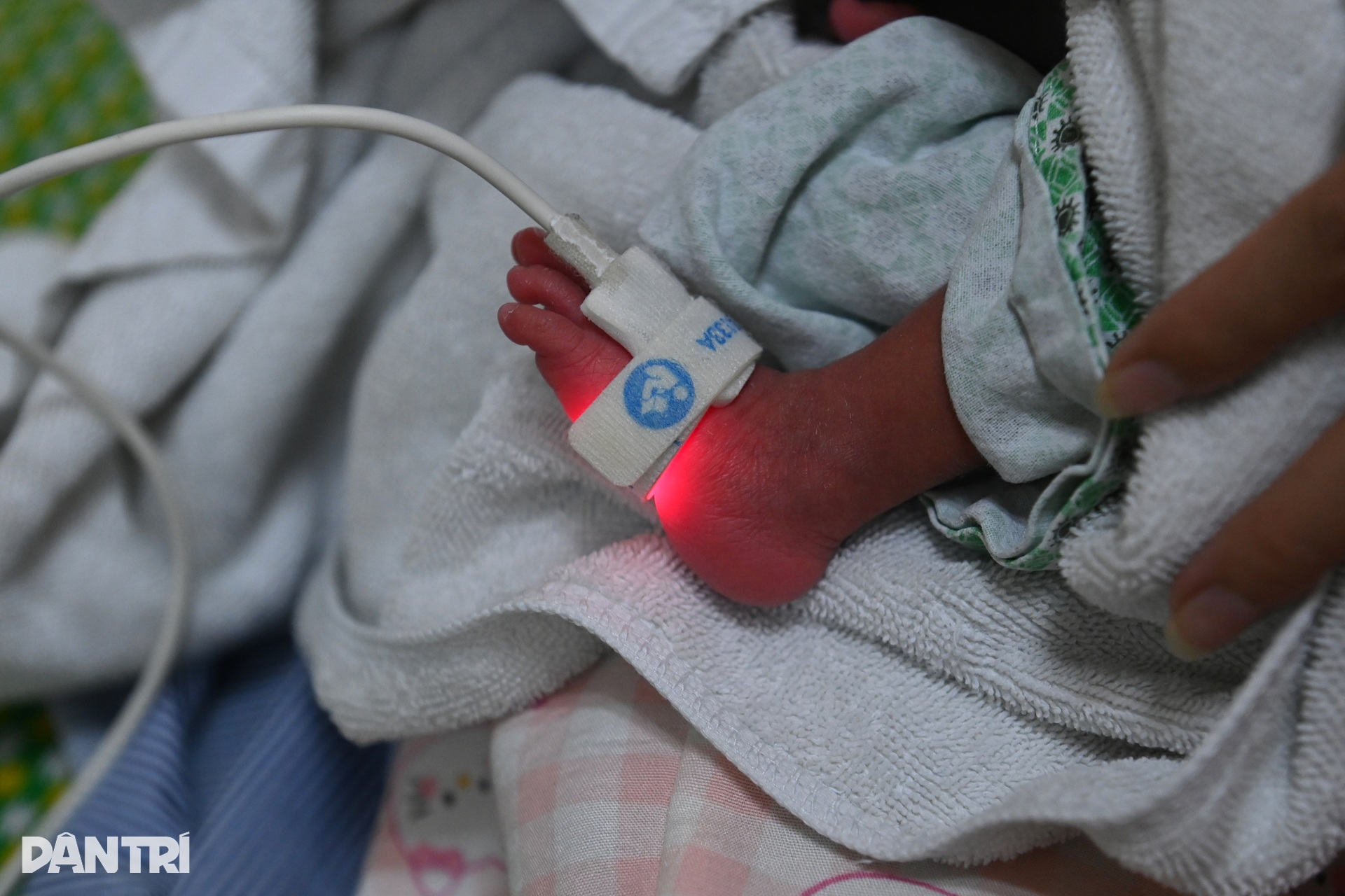 Những em bé lớn lên trong lồng ấp - 1