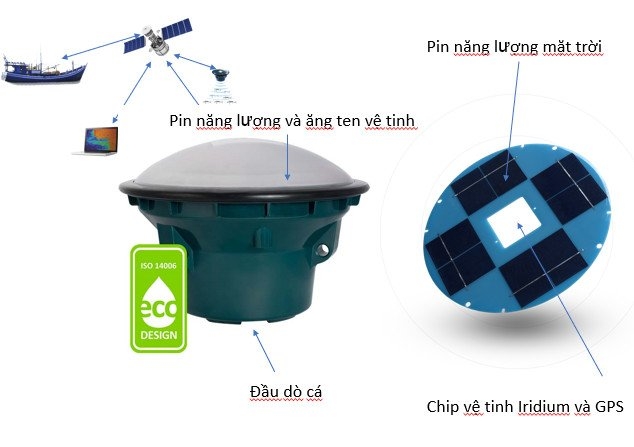 Sơ đồ cấu tạo hoạt động của phao dò cá. Ảnh: NVCC