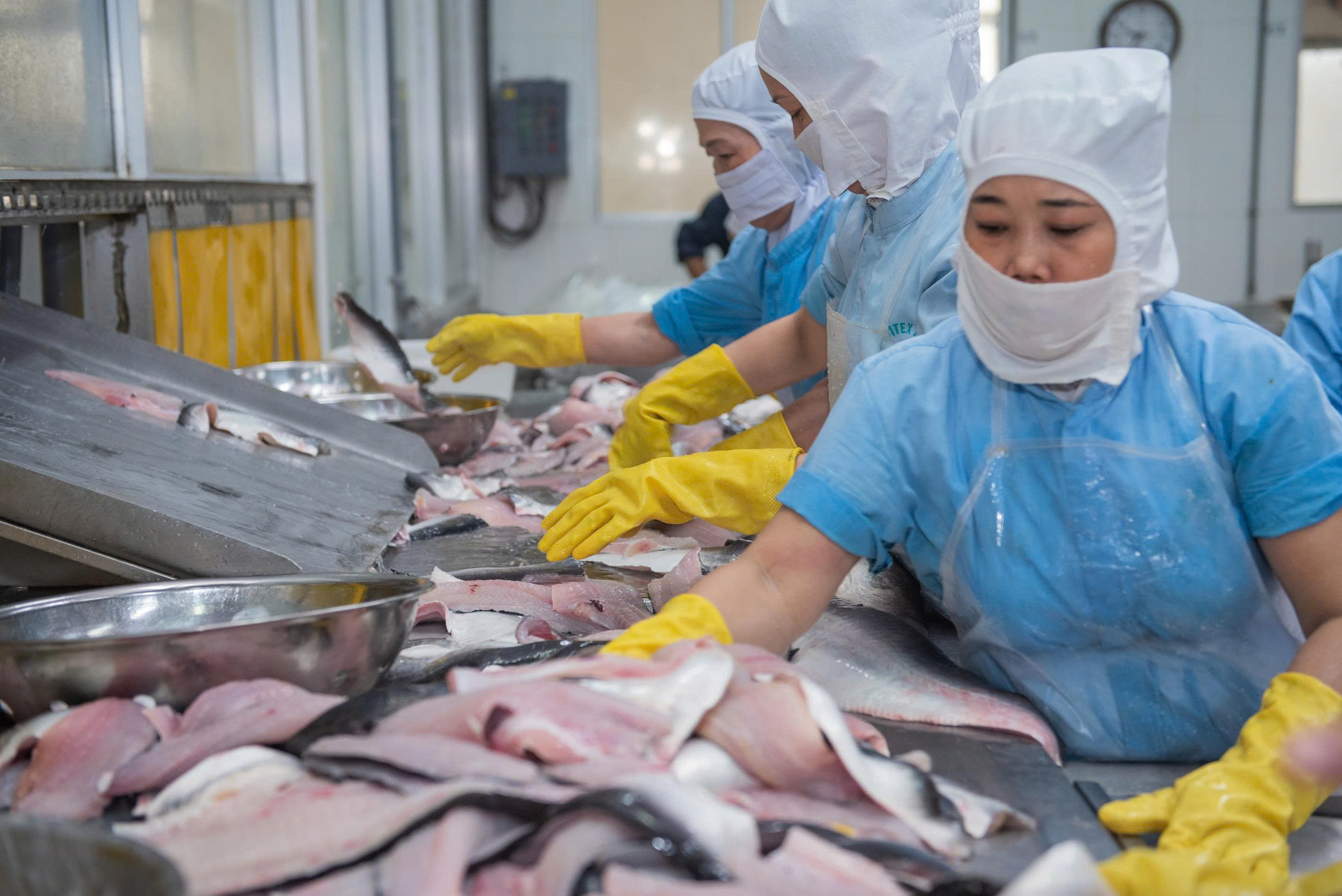 Nỗ lực đưa xuất khẩu vượt qua thách thức - Ảnh 1.