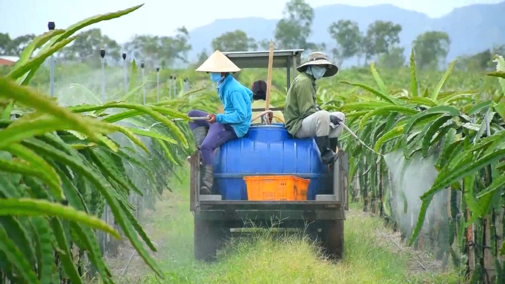 Nông sản Việt đối mặt rủi ro khi EU siết dư lượng thuốc bảo vệ thực vật - 1