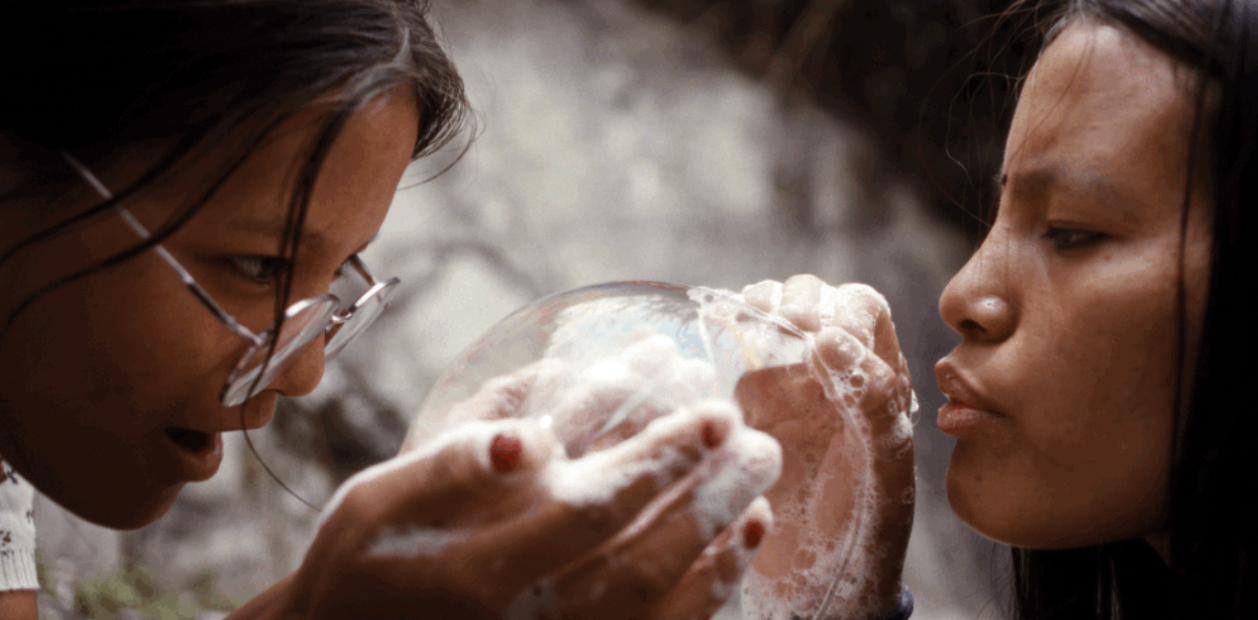 Nước mắt của đông trùng hạ thảo - Ảnh 1.