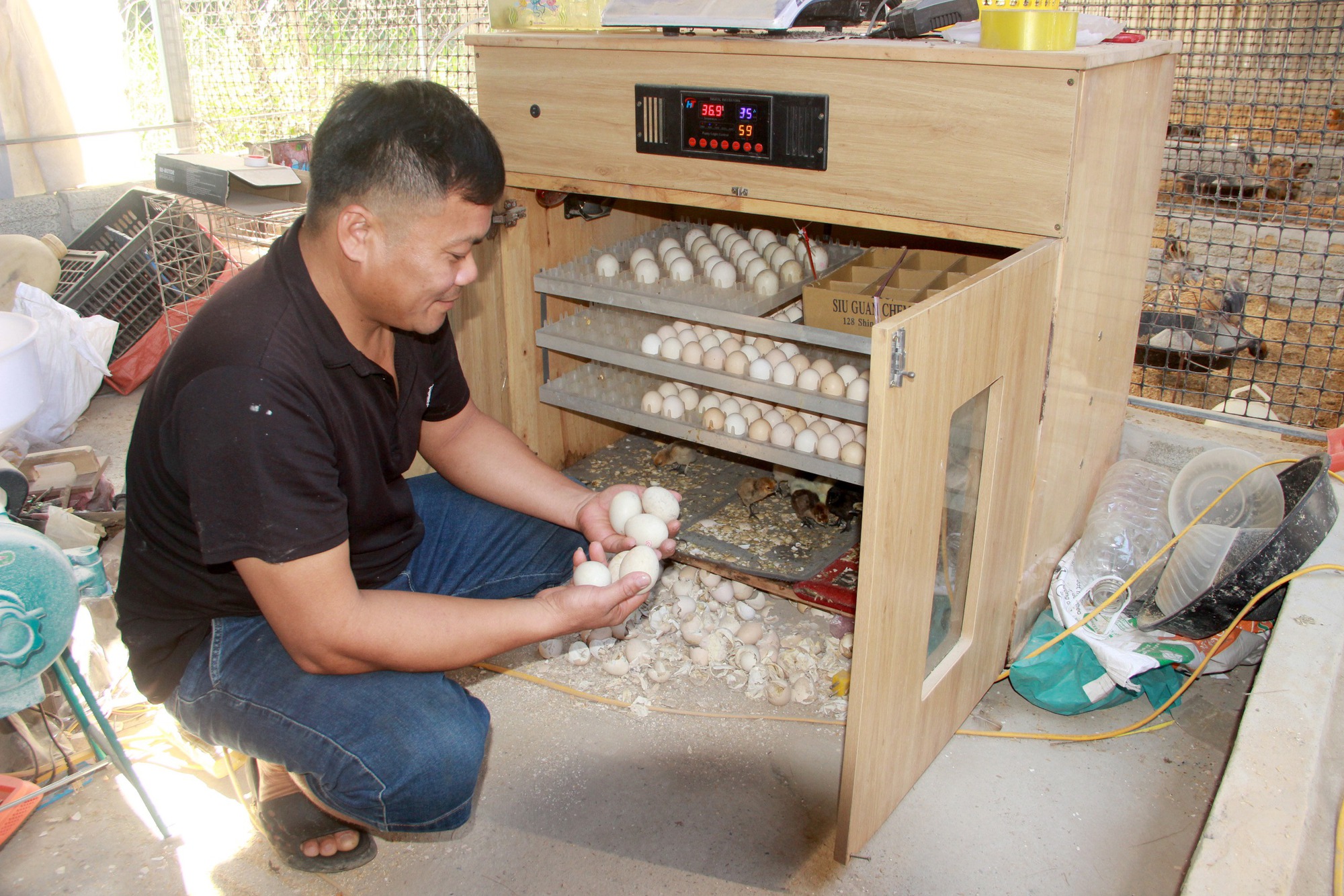 Nuôi loài gà có cái tên “đáng sợ”, anh nông dân thu hàng trăm triệu mỗi năm- Ảnh 2.