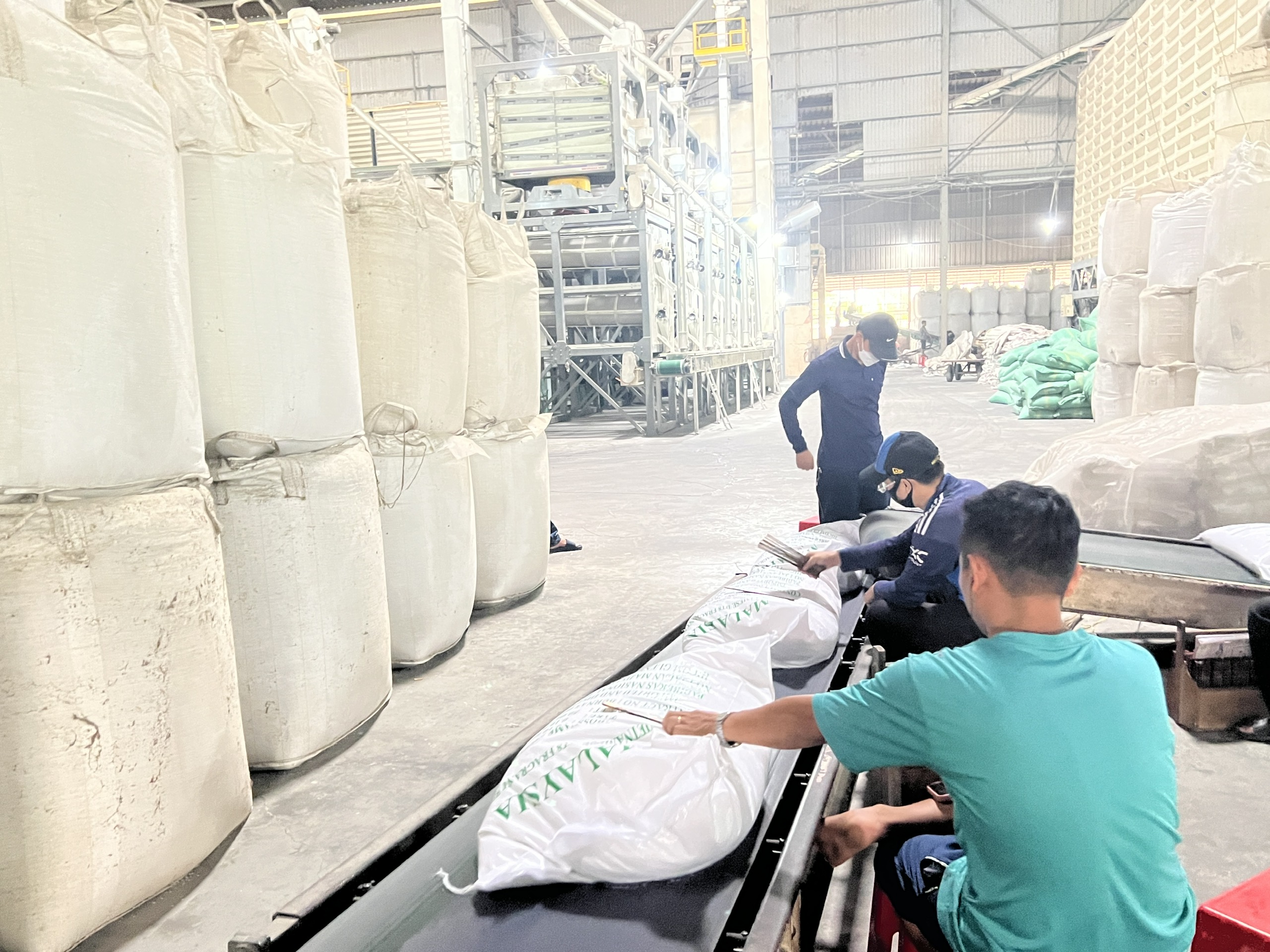 Ổn định thị trường lúa gạo 1 Ổn định thị trường lúa gạo - Ảnh 1.