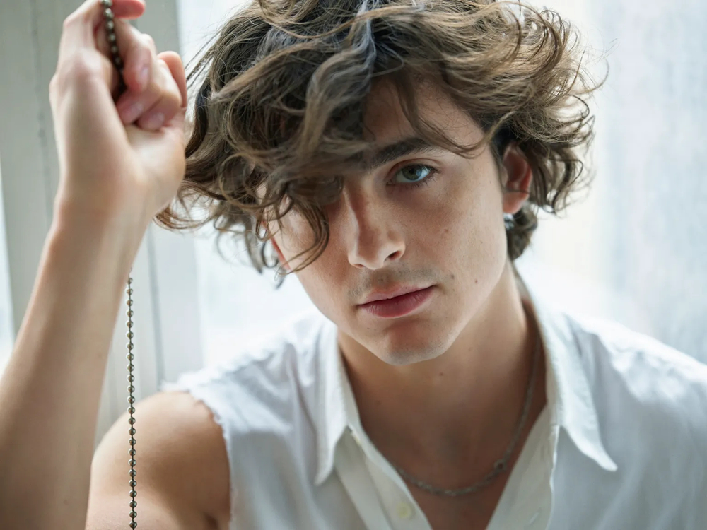 Phát ngôn vô ơn của Timothée Chalamet khiến MXH dậy sóng, nghe mà không tin vào tai mình- Ảnh 1.
