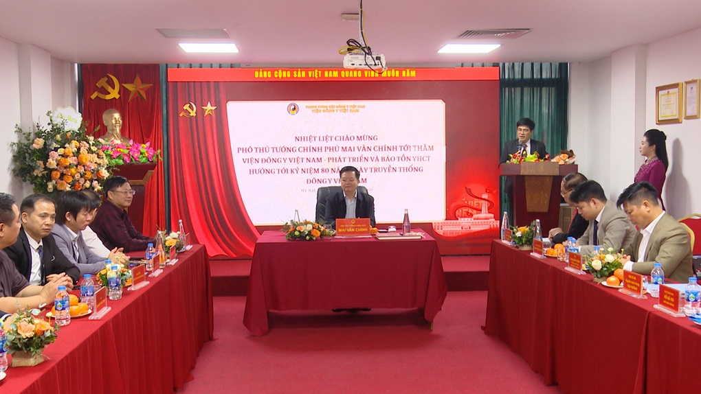 Phó Thủ tướng: Cần đề xuất chính sách đặc thù để phát triển y học cổ truyền - 1