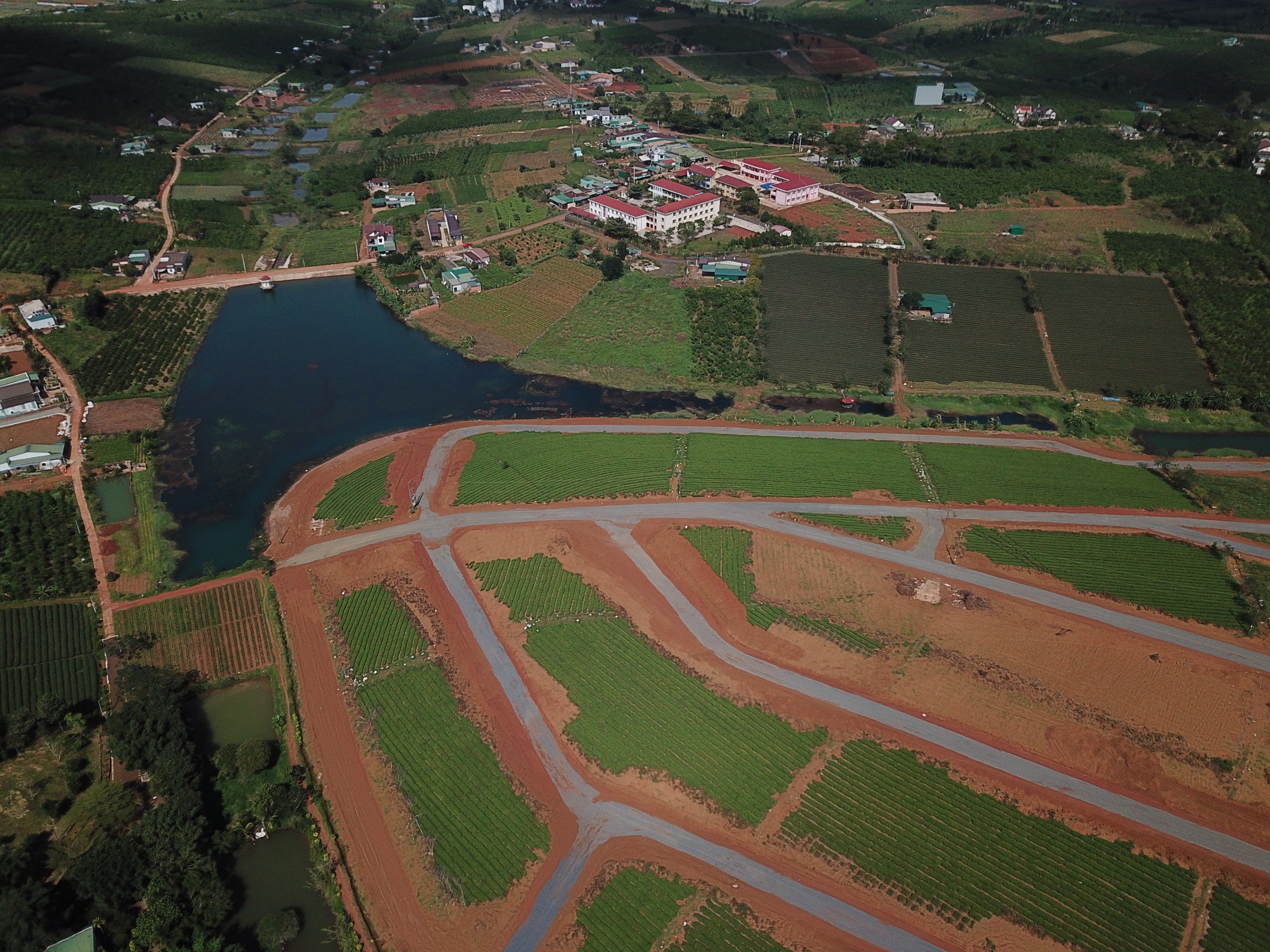 Phó chủ tịch Bùi Minh Thạnh: Nghiên cứu quy định diện tích tối đa cho tách thửa để tránh phân lô - Ảnh 1.