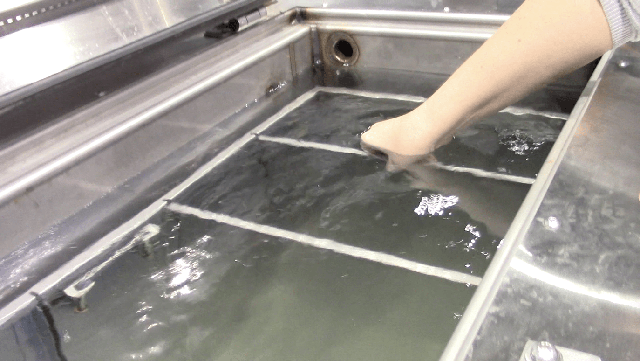 Phân hủy thi thể thành... nước rồi đổ xuống cống: Phương pháp mai táng thân thiện môi trường hay tận cùng của sự đáng sợ?- Ảnh 1.