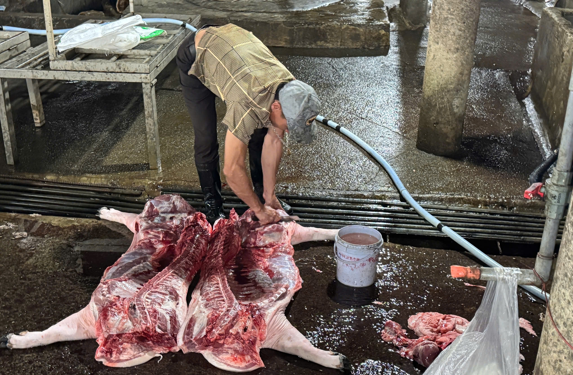 Quảng Trị phạt lò mổ gần 250 triệu đồng vì xả thải vượt chuẩn nghiêm trọng - Ảnh 1.