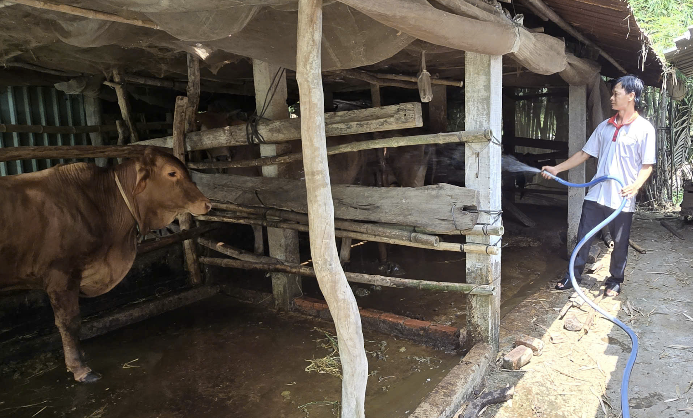 Quỹ hỗ trợ cộng đồng David Dương giúp người dân vươn lên làm giàu - Ảnh 5.