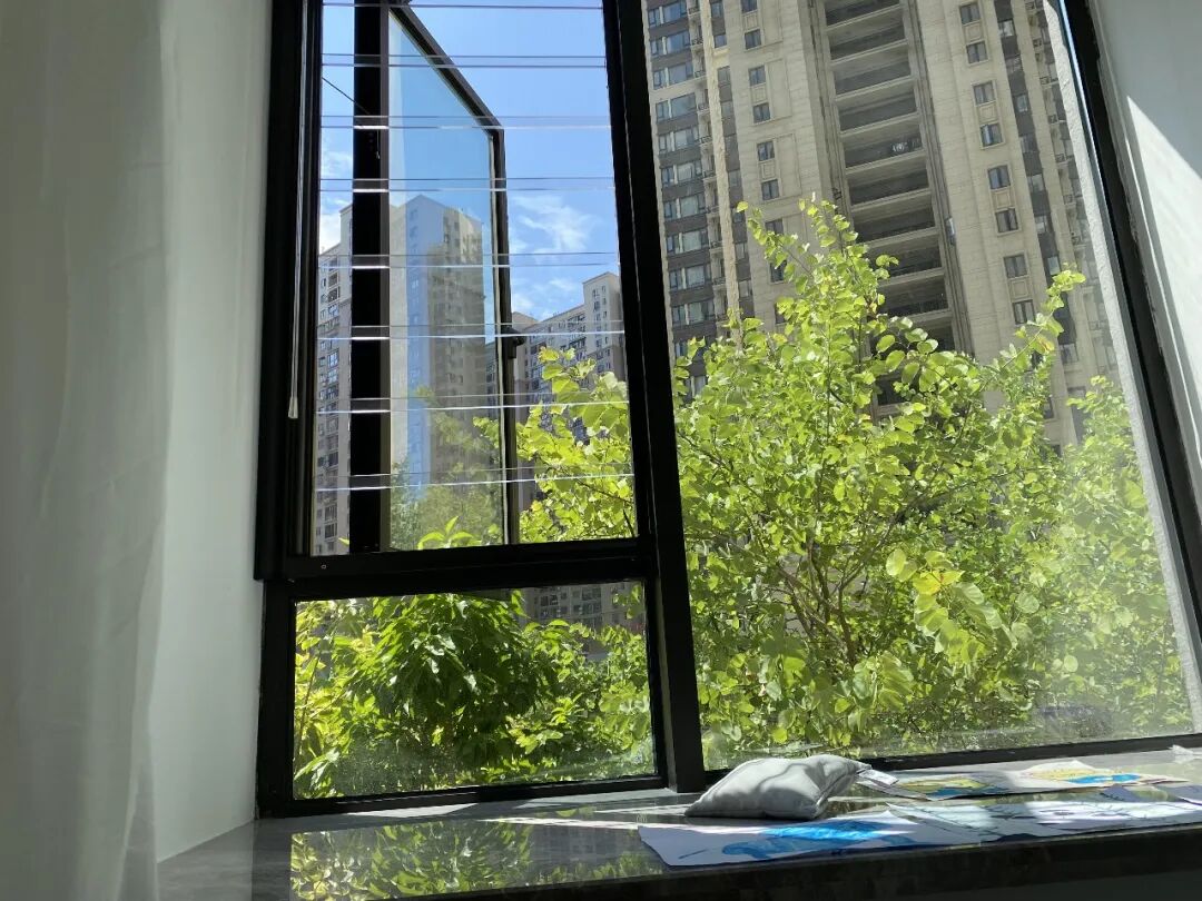 Vì sao ngày càng nhiều người chọn sống ở tầng hai? Sau khi ở thử, nhiều người thừa nhận: “Quyết định đáng giá nhất”- Ảnh 1.