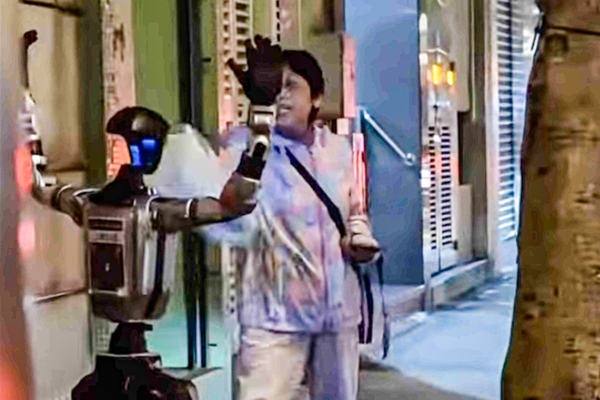 Robot bị cảnh sát “áp giải” giữa phố sau khi khiến cụ bà hoảng sợ- Ảnh 1.