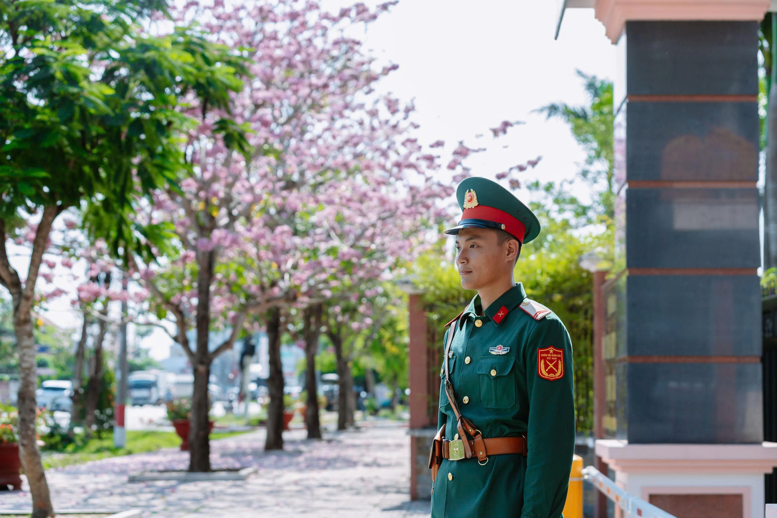 Sắc hồng kèn hồng tô thắm doanh trại 1 Sắc hồng kèn hồng tô thắm doanh trại - Ảnh 1.