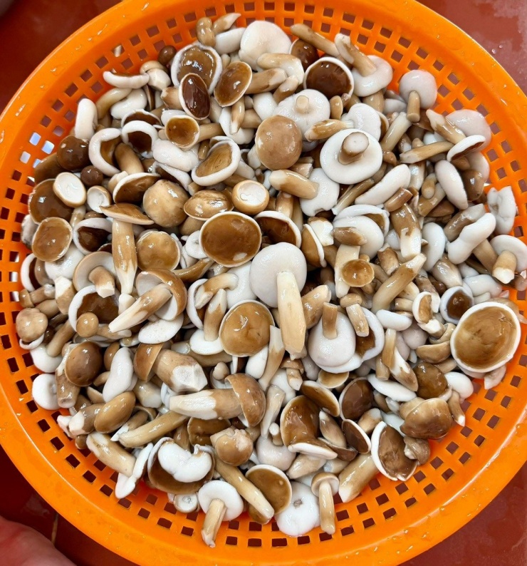 Nấm tràm sau khi sơ chế và luộc qua nước sôi. Ảnh: Rơm Vàng Restaurant Vietnamese Cuisine