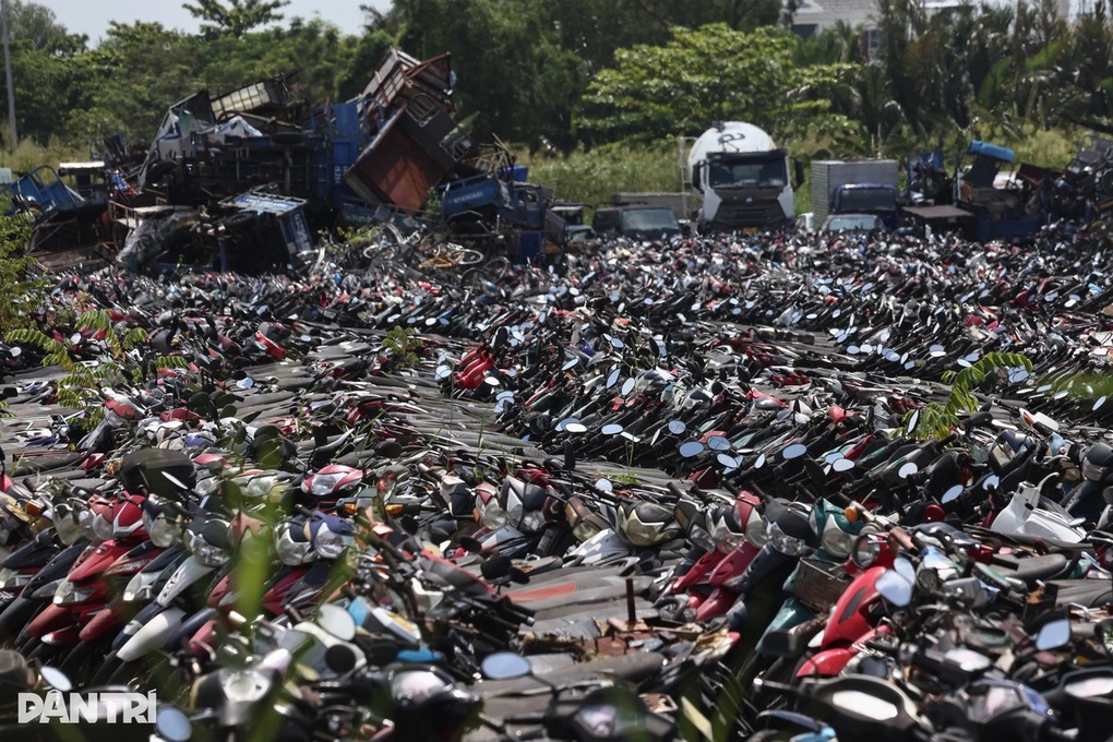 Sắp đấu giá gần 7.000 xe máy vi phạm, giá khởi điểm từ 720.000 đồng/chiếc - 1