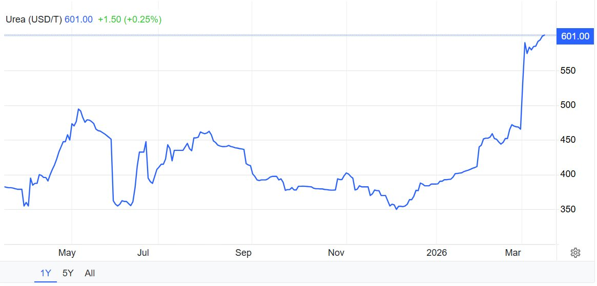 Sau đất hiếm, Trung Quốc siết xuất khẩu mặt hàng nuôi sống thế giới, làm rung chuyển thị trường lương thực toàn cầu- Ảnh 2.