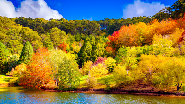 Quốc gia đã bước vào mùa thu khi nửa thế giới đang ở mùa xuân: Sở hữu cộng đồng người Việt đông đảo- Ảnh 2.