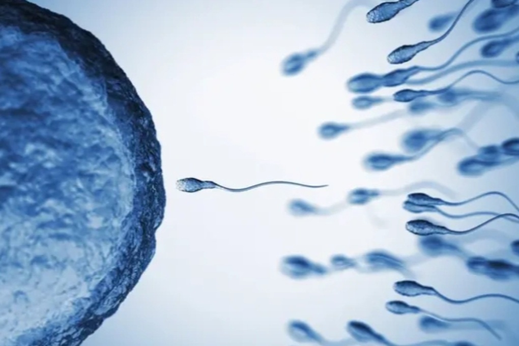 Sự thật phía sau cuộc đua tinh trùng khác xa nhiều người nghĩ - 1