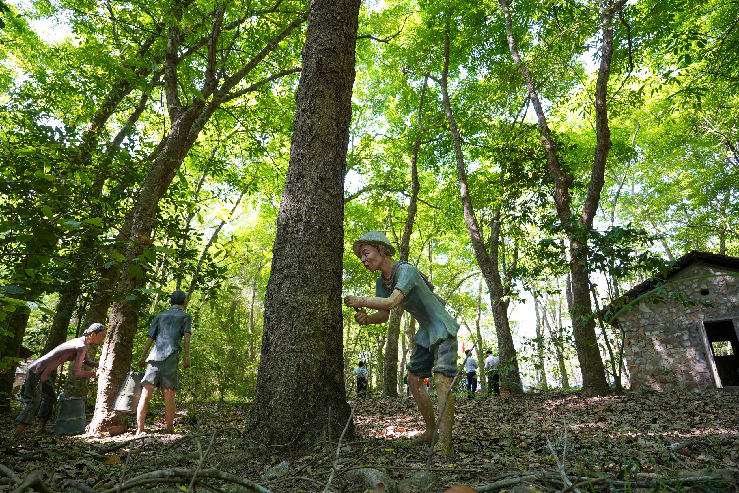 Khảo sát các tuyến, điểm du lịch tại xã Dầu Tiếng - Ảnh 3.